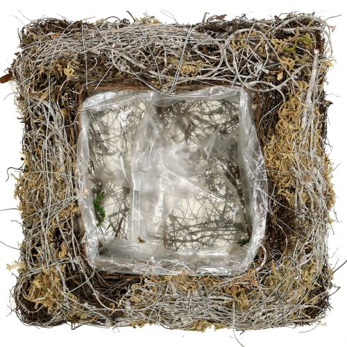 Floristik24 Kussen mos, klimplant 25cm x25cm