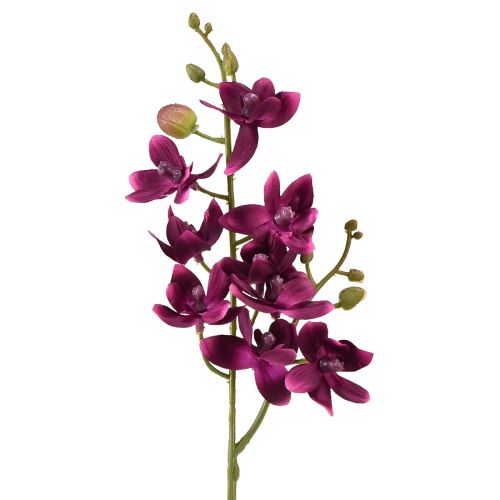 Kleine orchidee Phalaenopsis kunstbloem donkerpaars 30cm
