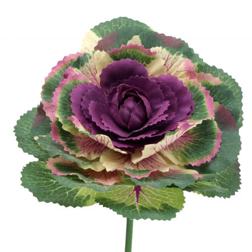 Floristik24 Kunstkool paars, groen 25cm 6st