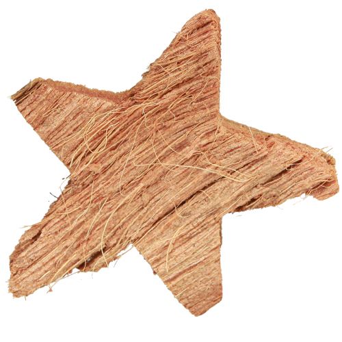 Artikel Kokossterdecoratie naturel Kerstdecoratie naturel 5,5-7cm 30 st