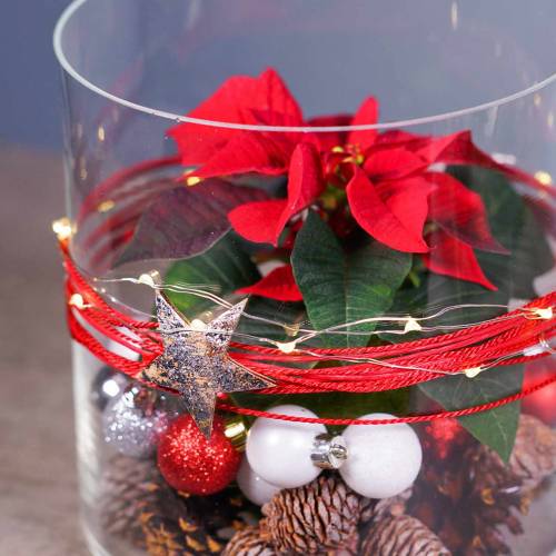 Floristik24 Kokosster zilver 5cm 50st. Tafeldecoratie zilver Advent decoratie sterren