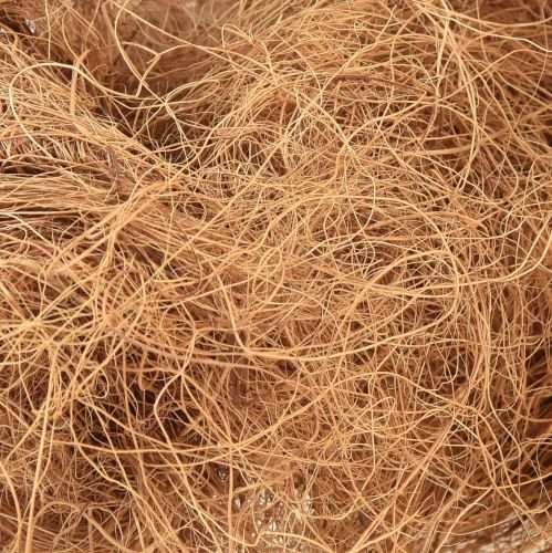 Floristik24 Kokosvezel natuurlijke plantaardige vezels natuurlijke vezel ambachtelijk materiaal 1kg