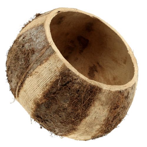 Artikel Kokosnoot naturel 5st