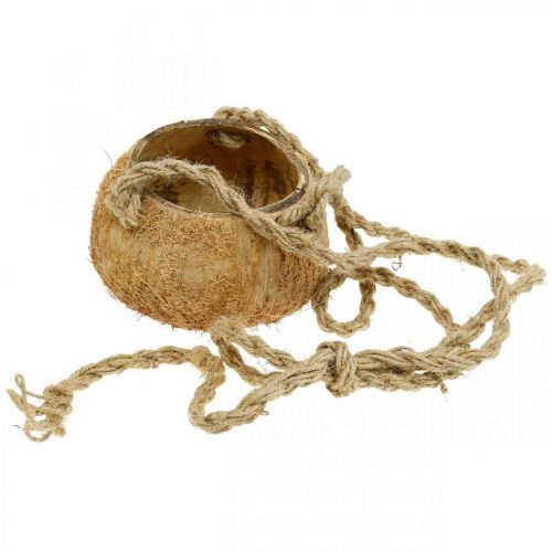Artikel Kokoskom hangend, naturel plantenkom, hangmand Ø8cm L55cm