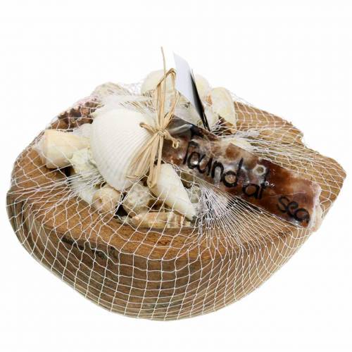 Floristik24 South Sea decoratie kokosnoot met mosselen 20cm 250g