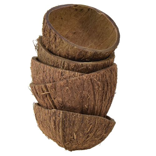 Kokosschaal decoratie naturel halve kokosnoten Ø7-9cm 5st