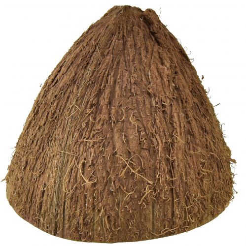 Floristik24 Kokosschaal decoratie naturel halve kokosnoten Ø7-9cm 5 st
