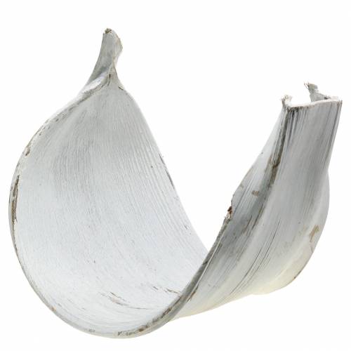Artikel Kokosnootschaal kokosblad wit gewassen natuurlijke decoratie 35cm