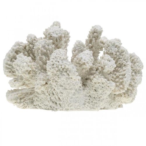Floristik24 Maritieme decoratie koraal wit kunsthars klein 13.5x12 cm