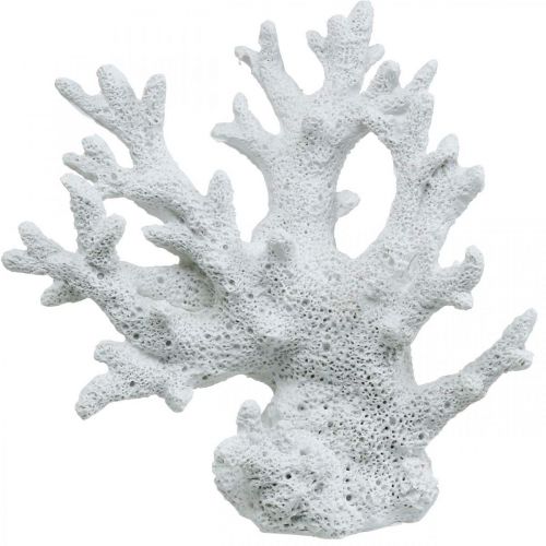 Floristik24 Maritieme decoratie koraal wit zomerdecoratie 14.5×14.5cm