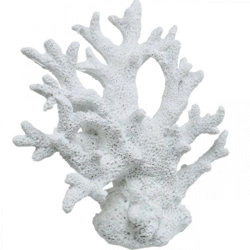Floristik24 Maritieme decoratie koraal wit zomerdecoratie 14.5×14.5cm