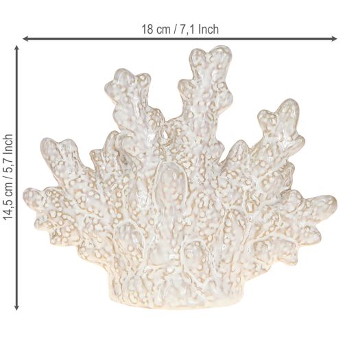 Artikel Koraaldecoratie keramiek maritieme tafeldecoratie beige H14,5cm