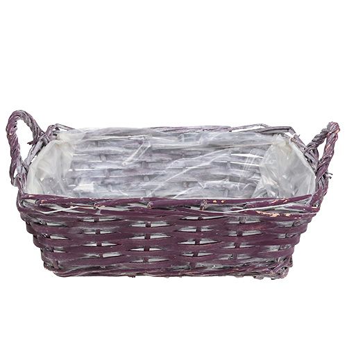 Floristik24 Vierkante mand 29cm x 23cm H10cm donkerpaars