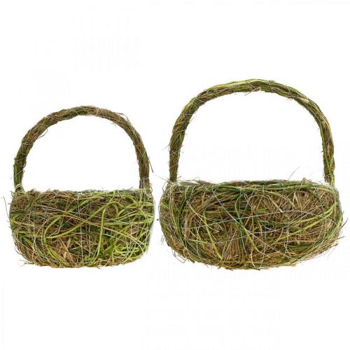 Floristik24 Plantenmand met handvatten raffia en hooi groene mand veer 16×22/21×27cm set van 2