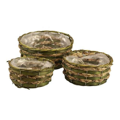 Floristik24 Mand rond plantenmand gevlochten groen hout Ø26/21/18cm set van 3