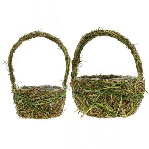 Floristik24 Plantenmand met handvat springmand groen 14×25/18×28cm set van 2