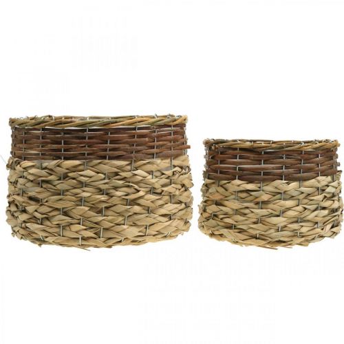 Artikel Rieten Mand Naturel Rieten Plantenschaal Naturel L30/22cm H20/17cm Set van 2