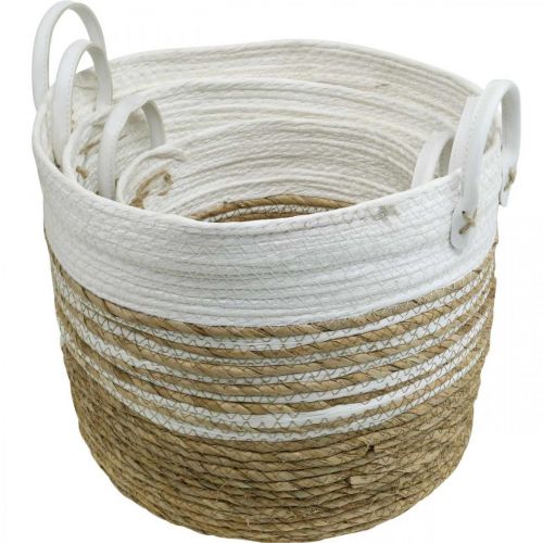 Floristik24 Plantmand, bestek met handvatten, organiser wit, naturel Ø32/28/23cm H30/25/19cm set van 3