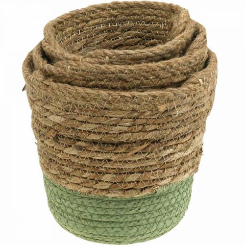 Artikel Hangmand, naturel mand, plantenbak om op te hangen naturel, groen Ø19/17/15cm set van 3