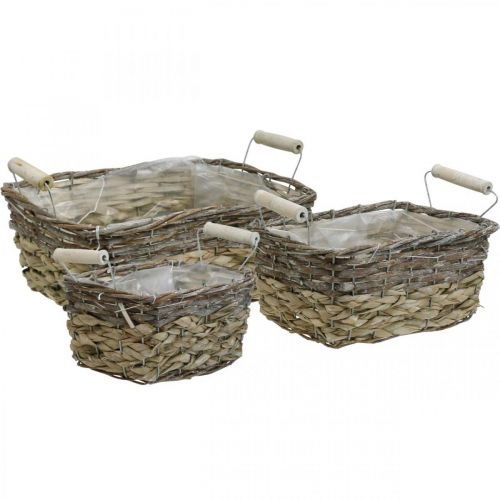 Floristik24 Plantenmand met handvatten, vierkante mandkom, natuurlijke plantenbak voor planten shabby chic gewassen wit L30/25.5/21 cm H12/11/10 cm set van 3