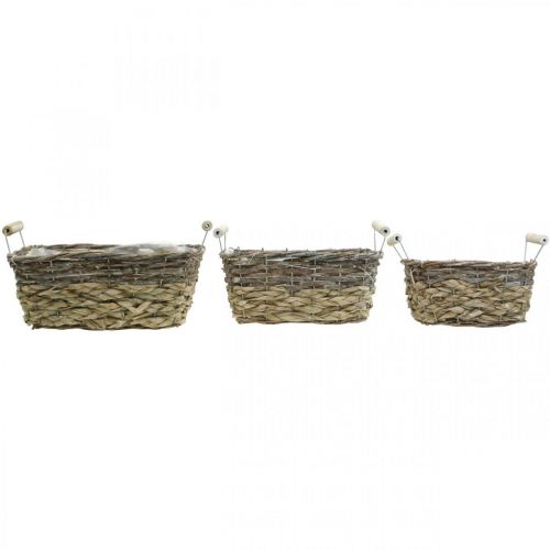 Artikel Plantenmand met handvatten, vierkante mandkom, natuurlijke plantenbak voor planten shabby chic gewassen wit L30/25.5/21 cm H12/11/10 cm set van 3