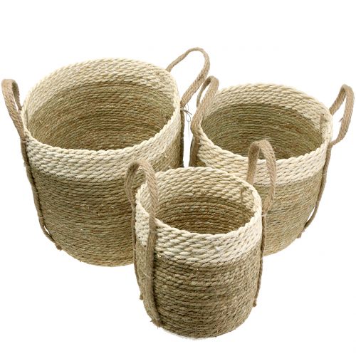 Floristik24 Sisal mand Ø37 / 30 / 25cm 3st