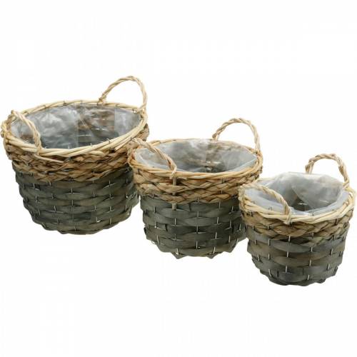 Floristik24 Plantenmand, rieten mand voor planten, bloemenmand rond naturel, grijs Ø29/23,5/18cm set van 3
