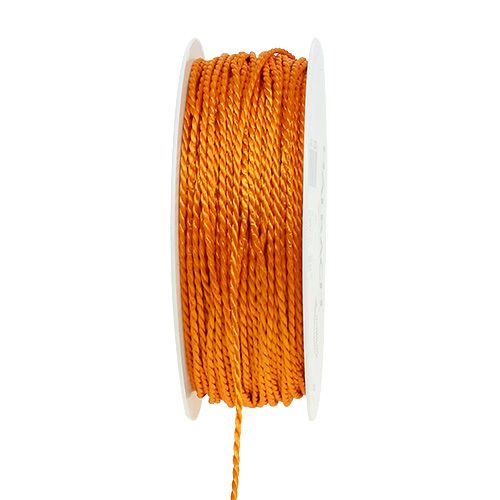 Koord Oranje 2mm 50m