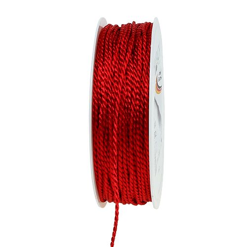 Floristik24 Koord Rood 2mm 50m