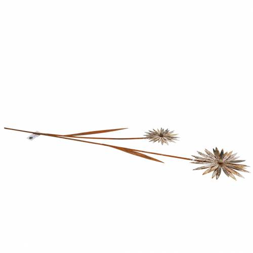Floristik24 Tuinplug korenbloem roestig metaal wit Ø10 / 15cm H66cm