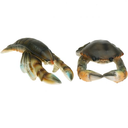 Floristik24 Decoratieve krab en kreeft 11cm - 15cm