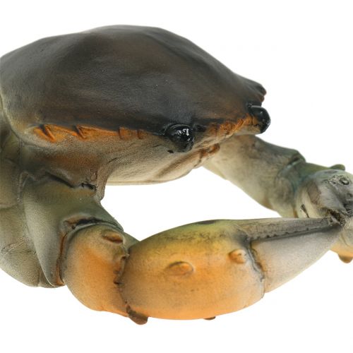 Floristik24 Decoratieve krab en kreeft 11cm - 15cm