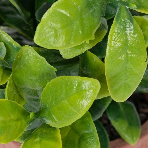 Artikel Kunstplant in een bloempot met realistische textuur voor binnengebruik en decoratie, 18 cm, 3 stuks