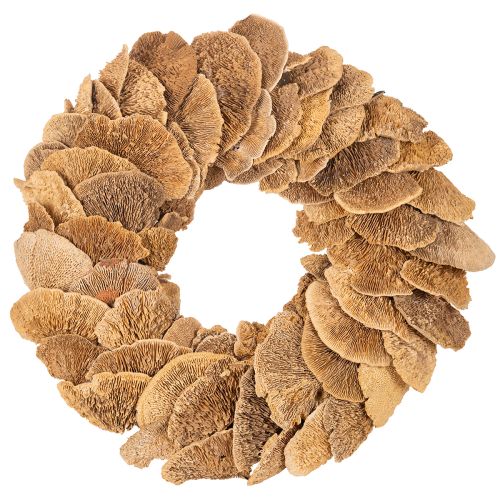 Krans van boompaddenstoelen, natuurlijke kleur, voor deur- of wanddecoratie, 37 cm