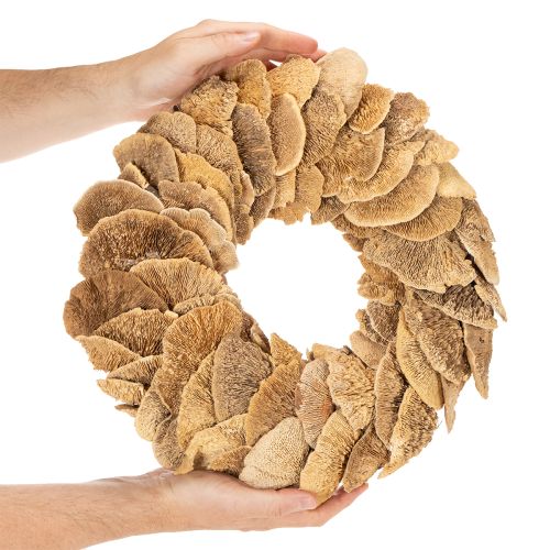 Krans van boompaddenstoelen, natuurlijke kleur, voor deur- of wanddecoratie, 37 cm | Floristik24.nl