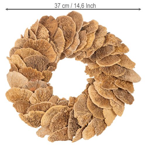 Krans van boompaddenstoelen, natuurlijke kleur, voor deur- of wanddecoratie, 37 cm | Floristik24.nl