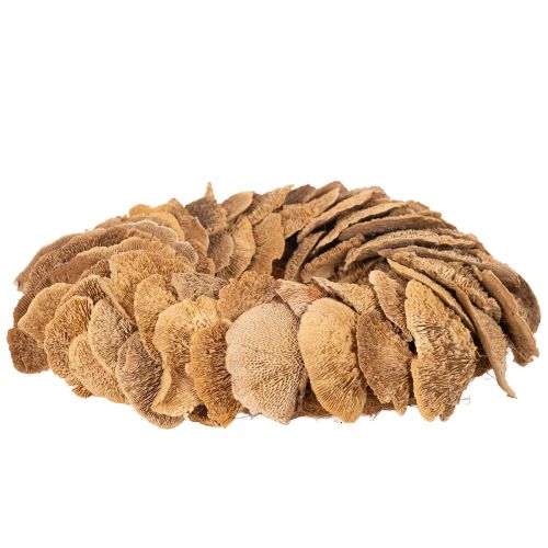 Krans van boompaddenstoelen, natuurlijke kleur, voor deur- of wanddecoratie, 37 cm | Floristik24.nl