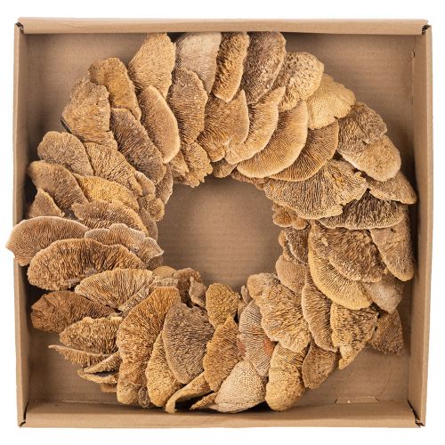 Krans van boompaddenstoelen, natuurlijke kleur, voor deur- of wanddecoratie, 37 cm | Floristik24.nl