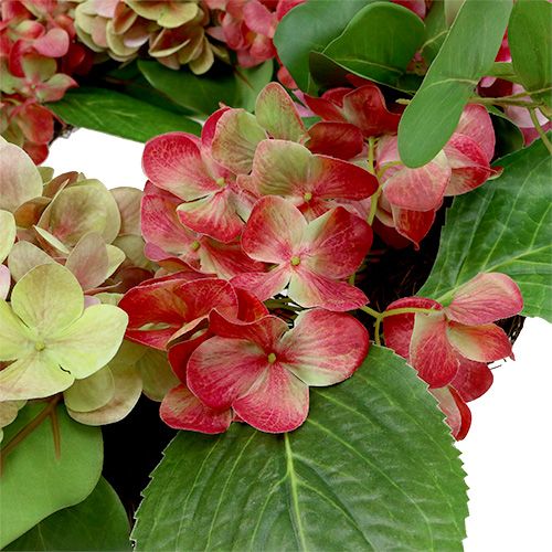 Floristik24 Krans hortensia's Ø60cm groen, roze 1st