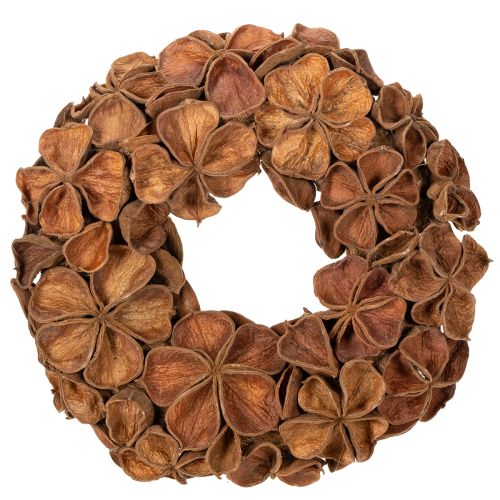 Krans van gedroogde lotusbloemen, decoratieve deurkrans, 35 cm kopen | Floristik24.nl