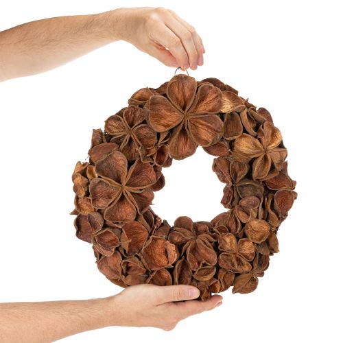 Krans van gedroogde lotusbloemen, decoratieve deurkrans, 35 cm | Floristik24.nl