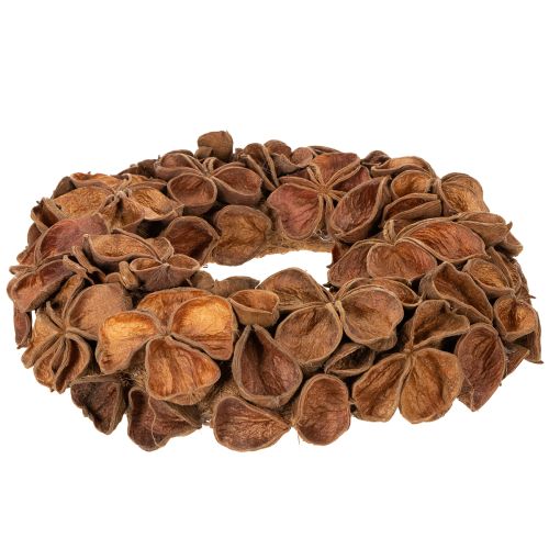 Krans van gedroogde lotusbloemen, decoratieve deurkrans, 35 cm | Floristik24.nl