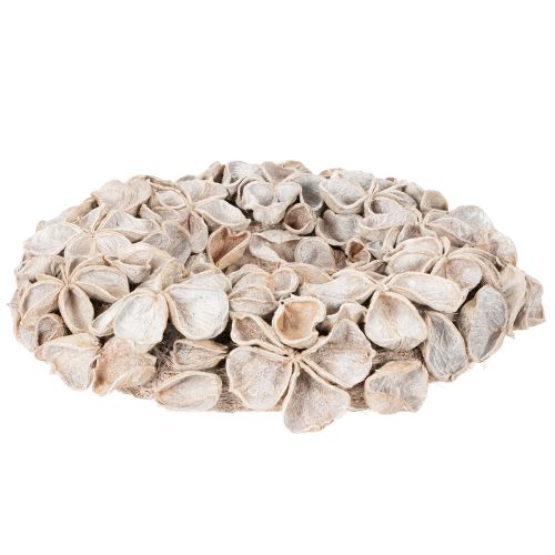 Krans met lotusbloesem, natuurlijke decoratie, gedroogde bloemen, 35 cm | Floristik24.nl