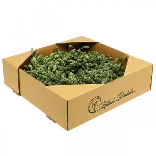 Artikel Kerstkrans groene droogbloemenkrans vlaskruid Ø34cm