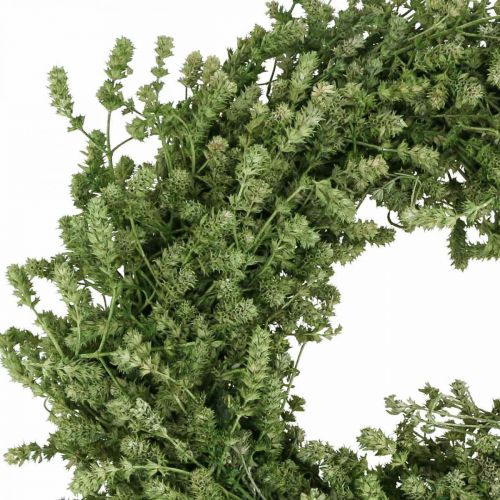 Floristik24 Kerstkrans groene droogbloemenkrans vlaskruid Ø34cm
