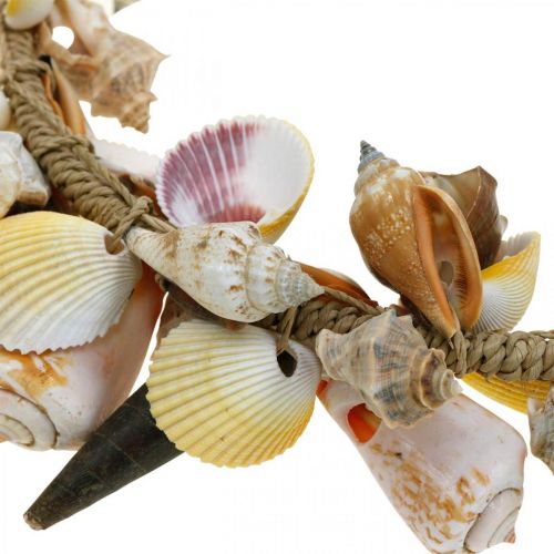 Floristik24 Decoratieve kransschelpen en slakken natuurlijke maritieme decoratie Ø30cm