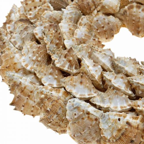 Floristik24 Deco krans slakken Maritieme decoratie deur krans zeeslakken Ø25cm