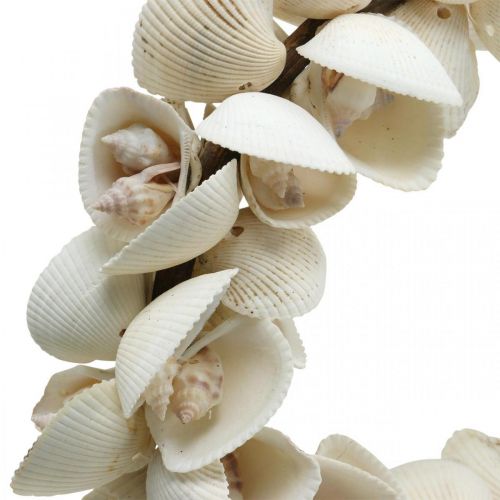 Floristik24 Maritieme krans, zeedecoratie, decoratieve kransschelpen en slakkenhuizen naturel Ø26,5cm