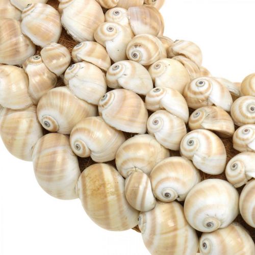 Floristik24 Slakkenkrans, maritieme decoratie, natuurlijk Mattukan slakken natuurlijke kleuren Ø39.5cm