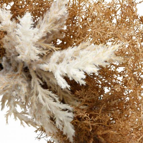 Artikel Decoratiekrans pampagras kunst creme, bruine deurkrans Ø60cm
